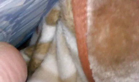 Anal młoda ładna marzycielski poeno za darmo